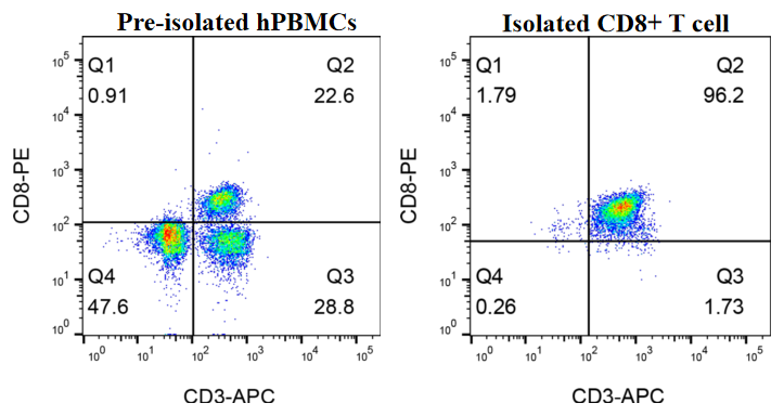 GM-CD8-T-Cell-iso-kit validation figure 1