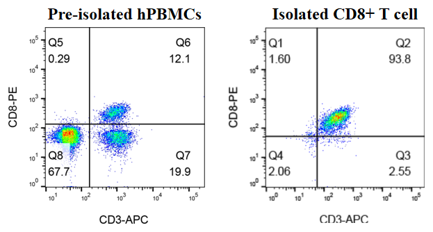 GM-CD8-T-Cell-iso-kit-CF validation figure 1