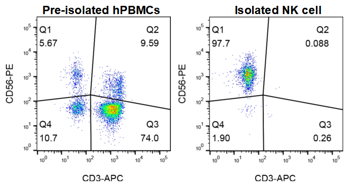 GM-NK-Cell-iso-kit validation figure 1