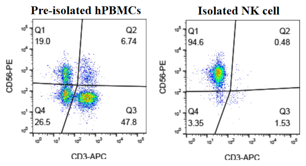 GM-NK-Cell-iso-kit-CF validation figure 1