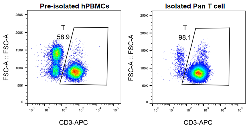 GM-Pan-T-Cell-iso-kit validation figure 1