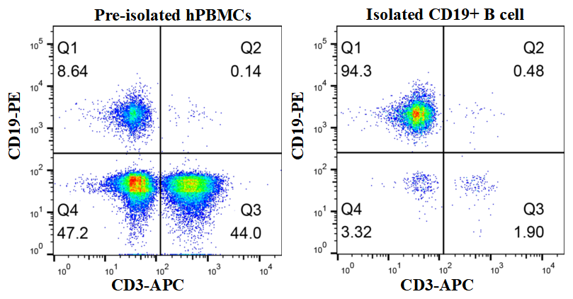 GM-Tg-hg-T56365-iso-nanoIMB validation figure 1