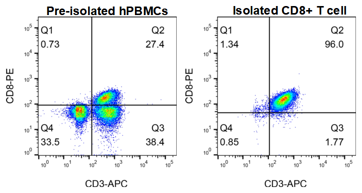 GM-Tg-hg-TA040-iso-nanoIMB validation figure 1